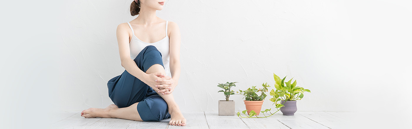 ウィークリープラン