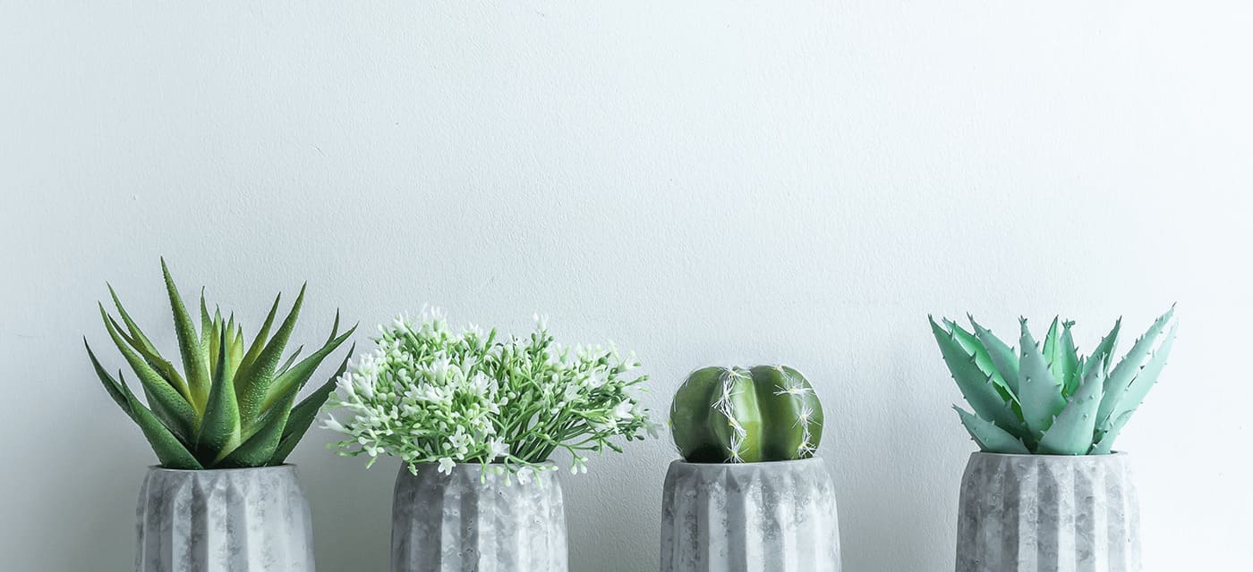 時間貸しプラン